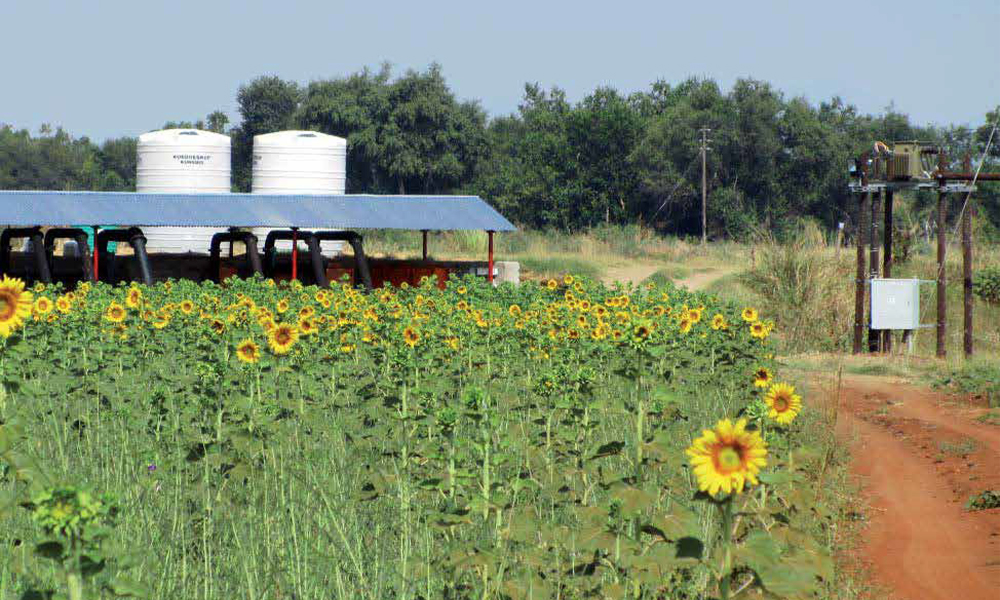 ABB助力Riecor农场节约人力成本并降低能耗40%